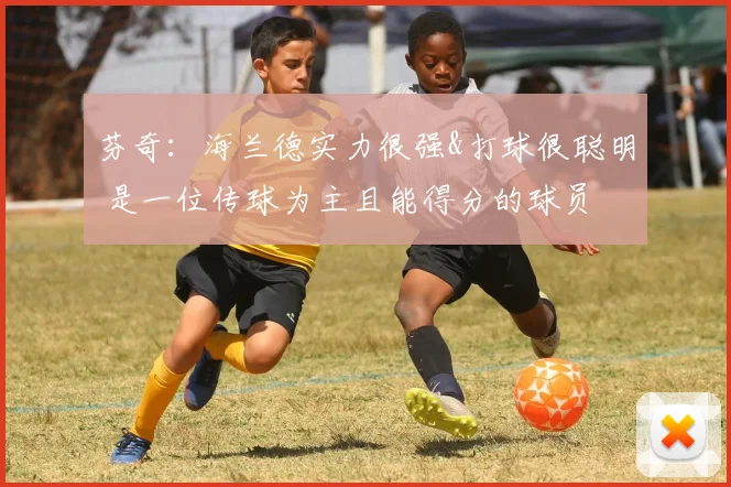 芬奇：海兰德实力很强&打球很聪明 是一位传球为主且能得分的球员